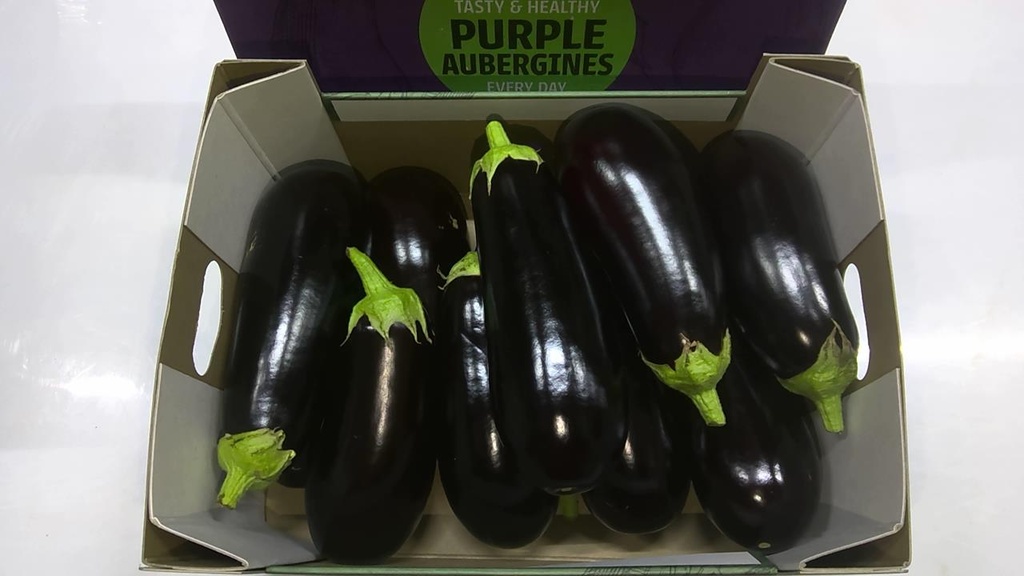 Aubergine ronde 9.400kg (copie)