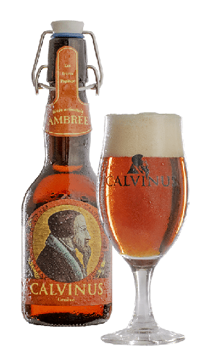 [31643] Calvinus Ambrée vol.alc.4.8% Tray 4 x 6 x 0,33 l Bouteille Verre jetable