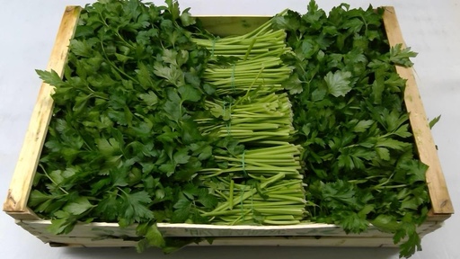 [60080] Persil Plate Caisse 7kg