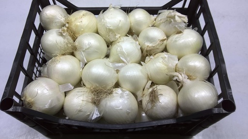 [60083] Oignons Rouges Gros sac 10kg (copie)