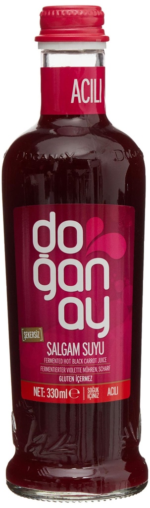 Doganay salgam Acili 12 x 0.25 l Bouteille verre jetable