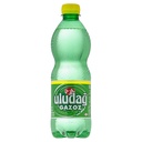 Uludag Gazoz 24 x 0,5 l Bouteille PET jetable