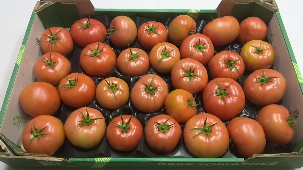 Tomate Grappe 5kg