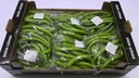 Poivron Sivri Carton 15 x 400gr