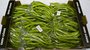 Poivron Kil Sivri Carton 15 x 400gr