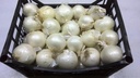 Oignons Blanc Gros sac 10kg