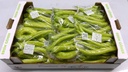 Poivron Carliston Aci Piquant 15 x 400gr