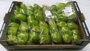 Poivron vert doux Dolmalik Filmée  15 x 400g=6.kg