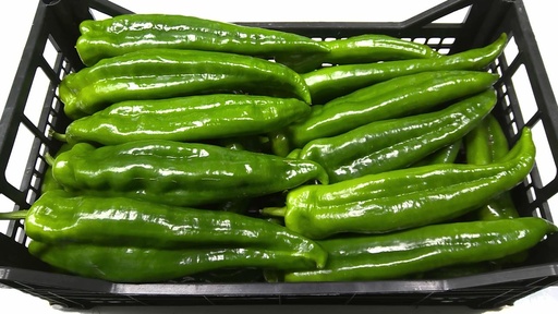 [60043] Poivron corne de Bœuf vert 6.700gr