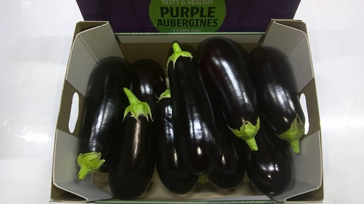 [60079] Aubergine ronde 5kg