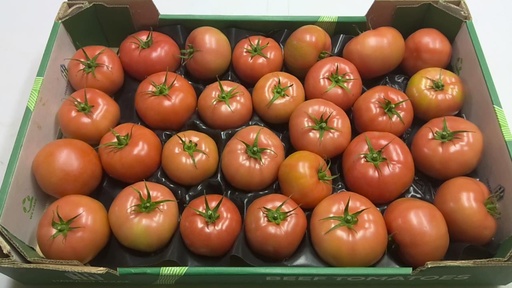 [60089] Tomate Grappe 5kg