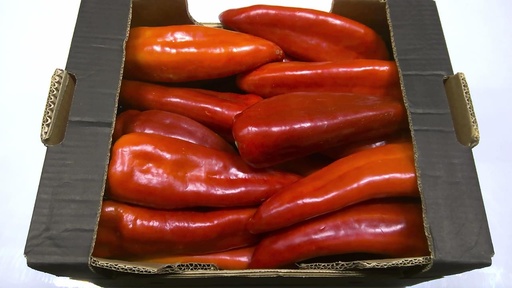 [60105] Poivron corne de Bœuf Rouge 9.500gr