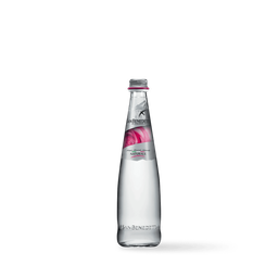 [10529] San Benedetto naturale Caisse 20 x 0,5 l Bouteille Verre réutilisable