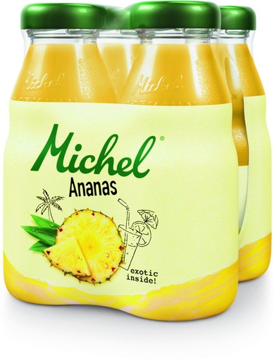 [21604] Michel Ananas Tray 6 x 4 x 0,2 l Bouteille Verre jetable
